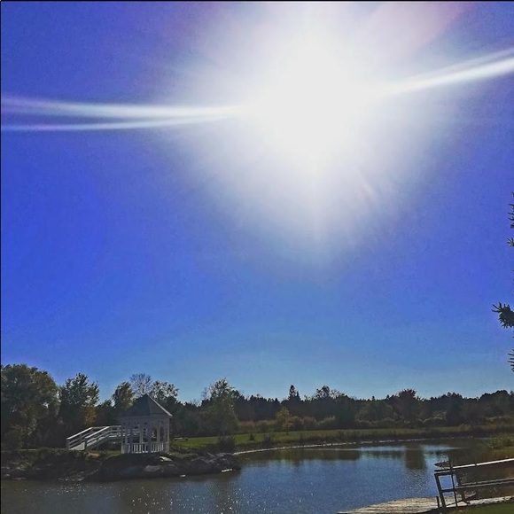 Meet your Posher, Riwa - Picture 1 of 1